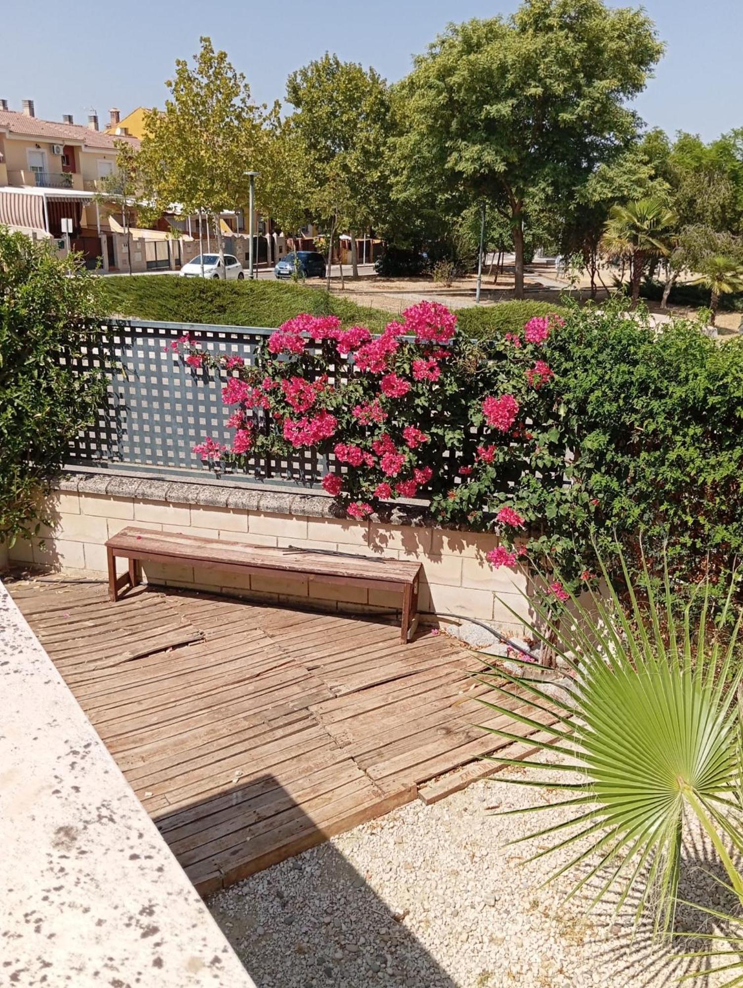 Apartamentos Turisticos Las Cinco Joyas ลีนาเรส ภายนอก รูปภาพ